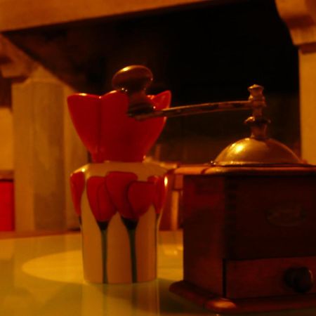 Castiglione In Teverina Casale Dei Gelsi Bed & Breakfast エクステリア 写真