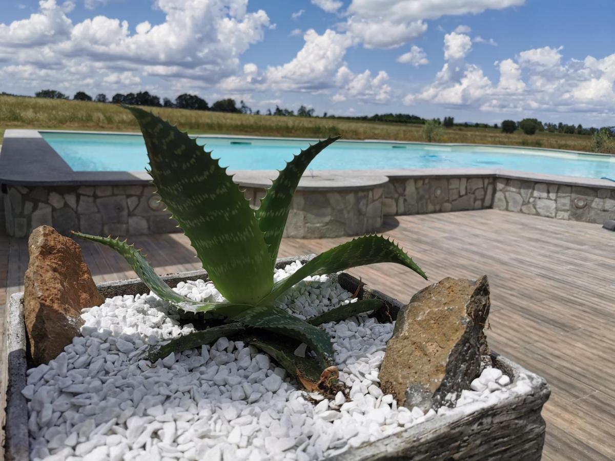 Castiglione In Teverina Casale Dei Gelsi Bed & Breakfast エクステリア 写真