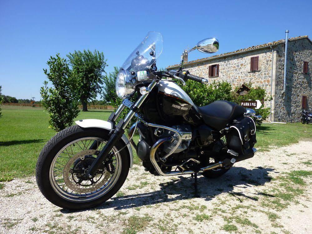 Castiglione In Teverina Casale Dei Gelsi Bed & Breakfast エクステリア 写真